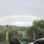 Ners 12/06/2018