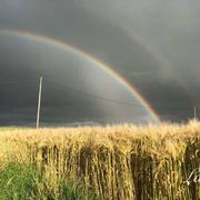 Bernienville 14/06/2018
