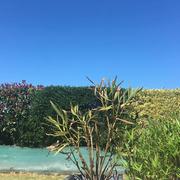 Saint-Sulpice-la-Forêt 23/06/2018