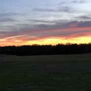 Lalbenque 23/06/2018