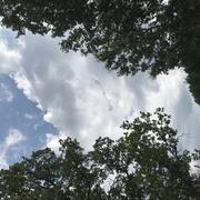 Saint-Maximin-la-Sainte-Baume 26/06/2018