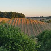 Lavardens 26/06/2018