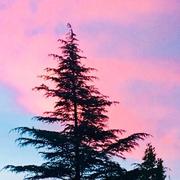 Concoules 29/06/2018