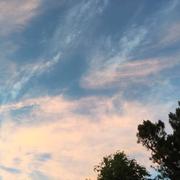 Saint-Martin-de-Gurson 30/06/2018