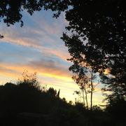 Saint-Martin-de-Gurson 30/06/2018