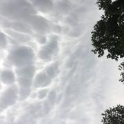 Saint-Jean-d'Illac 01/07/2018