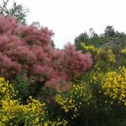 Laragne-Montéglin 03/07/2018