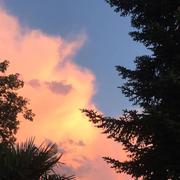 Bondigoux 04/07/2018