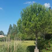 La Bastide-d'Engras 06/07/2018