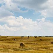 Milly-sur-Thérain 18/07/2018