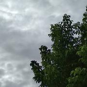 Saint-Estèphe 21/07/2018