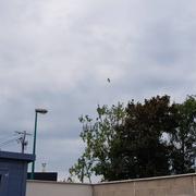 Gravelines 22/07/2018