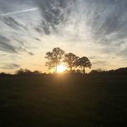 Hottot-les-Bagues 25/07/2018