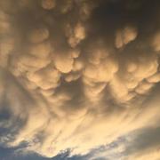 Gréville-Hague 26/07/2018