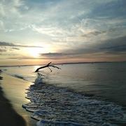 Port-Saint-Louis-du-Rhône 27/07/2018