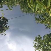 Esquelbecq 27/07/2018