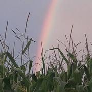 Saint-Pierre-de-Plesguen 27/07/2018