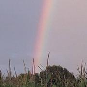 Saint-Pierre-de-Plesguen 28/07/2018