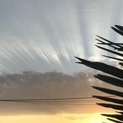 Montbartier 29/07/2018