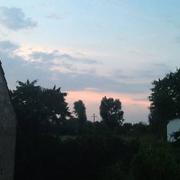 Petit-Noir 06/08/2018