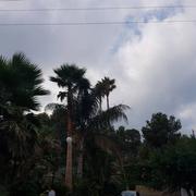 Altafulla 07/08/2018