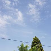 Beaumont-en-Cambrésis 07/08/2018