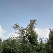 Saint-Plaisir 07/08/2018