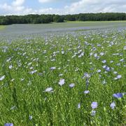 Saint-Lucien 08/08/2018