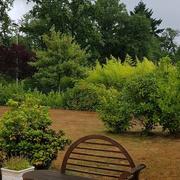 Lamotte-Beuvron 09/08/2018