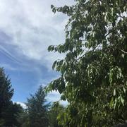 Villiers-le-Morhier 12/08/2018