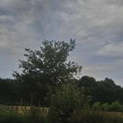 La Bussière 12/08/2018