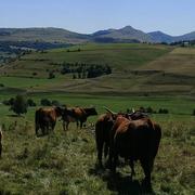 Ségur-les-Villas 12/08/2018