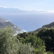 Barrettali 14/08/2018