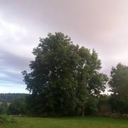 Grandrieu 16/08/2018