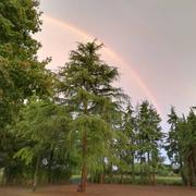 Saint-Sever-Calvados 17/08/2018