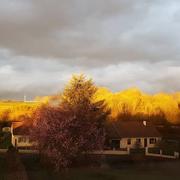 Moislains 28/08/2018