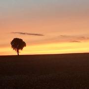 Sens-Beaujeu 29/08/2018