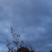 Niederhaslach 30/08/2018