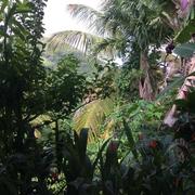 Les Anses-d'Arlet 30/08/2018