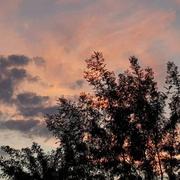 Saint-Julien-les-Rosiers 04/09/2018