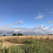 Bosc-Renoult-en-Roumois 12/09/2018