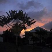 Pointe-à-Pitre 25/03/2010