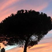 Bondigoux 07/10/2018