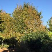 Petit-Auverné 08/10/2018