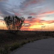 Alcorcón 12/10/2018