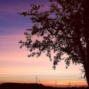 Mormant FM 77720 13/10/2018