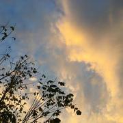 Le Cheylas 15/10/2018