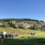 Sauvessanges 16/10/2018