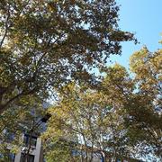 Barcelone 19/10/2018