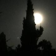 Bondigoux 25/10/2018